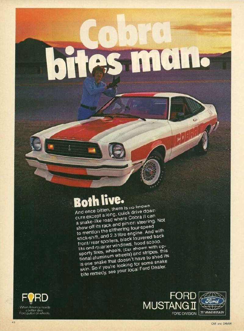 1975 Ford Mustang vintage auto ad; Cobra bites man
